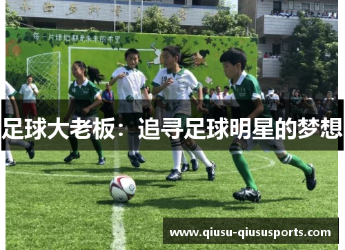 足球大老板：追寻足球明星的梦想